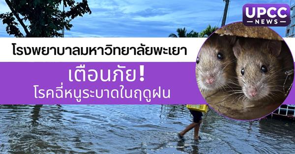 โรงพยาบาลมหาวิทยาลัยพะเยา เตือนภัย! โรคฉี่หนูระบาดในฤดูฝน 